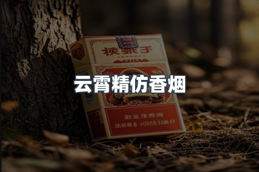 云霄精仿香烟